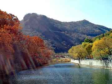 新澳天天开奖资料大全旅游团，烘焙眼影